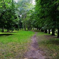 Чебоксары. Тропинка под липами в сквере им. В.И. Чапаева. :: Пётр Чернега Чебоксары. Тропинка под липами в сквере им. В.И. Чапаева. :: Пётр Чернега