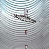 Была бы шляпа... :: Владимир Нефедов