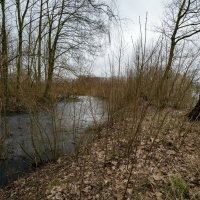 Между речкой и озером... :: Николай Гирш