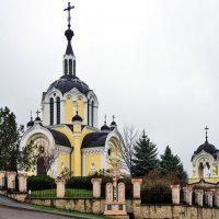 "-" :: Светлана Фокша