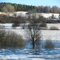 Апрель, разлив :: Олег Зоркий