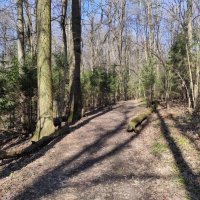 Солнечный апрельский день :: Игорь Ч.