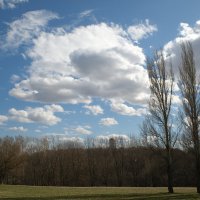 Коломенское :: Лютый Дровосек