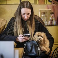 *** :: Александр 