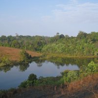 В Национальном парке Кхао Яй, Таиланд. :: unix (Илья Утропов)