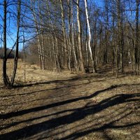 Настоящий апрель :: Андрей Лукьянов