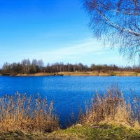 Моя Смоленщина :: Милешкин Владимир Алексеевич Моя Смоленщина :: Милешкин Владимир Алексеевич