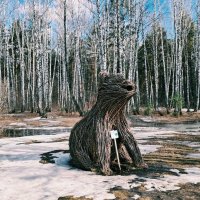 Медведь :: Георгиевич Медведь :: Георгиевич