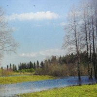 Гуляем по апрелю :: Людмила Смородинская Гуляем по апрелю :: Людмила Смородинская