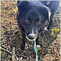 Марс. :: Валерия Комова Марс. :: Валерия Комова