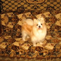 M :: Андрей Л. В.