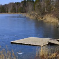 *** :: Aleksandr Gal