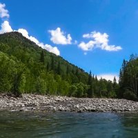 Алтай. :: Aleksey Afonin