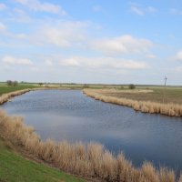 Весна в степи. :: Виктор 