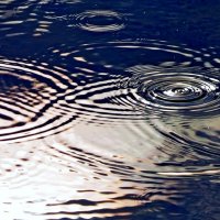 Первые капли :: Сергей Швечков