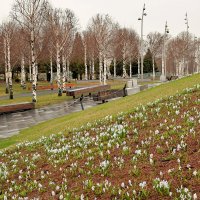 Апрельский дождливый день в Зарядье. :: Татьяна Помогалова