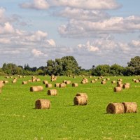 Валки :: Валерий Судачок