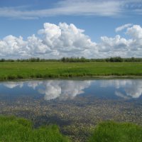 Лето :: Anna Ivanova