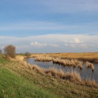 Донские зарисовки. :: Виктор 