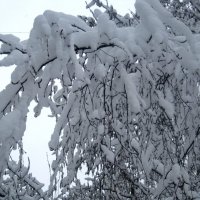 Зима в апреле 2014 года :: Елена Семигина