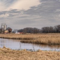 Болото :: Игорь Сикорский Болото :: Игорь Сикорский