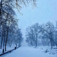 Марток.... :: Вера Феофелактова