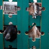 Конный центр "Русь" :: Валерий Михмель 