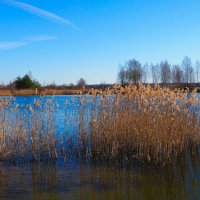 Весна в апреле (репортаж из поездок по). :: Милешкин Владимир Алексеевич 