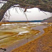 После зимних бурь... :: Владимир После зимних бурь... :: Владимир