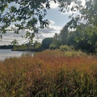 Хорошего дня :: Андрей Хлопонин