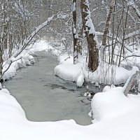 Апрельская зима :: Татьяна Тюменка
