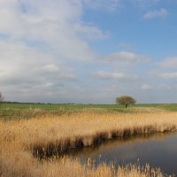 Местная река. :: Виктор 