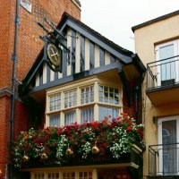 Домики Виндзора :: Ольга 