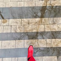 Отражение в луже.... :: Вера Феофелактова