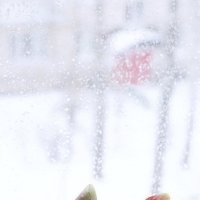 "За окном метель". :: Журавлев Владимир 
