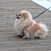 В профиль... :: Aquarius - Сергей В профиль... :: Aquarius - Сергей