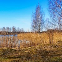 Про смоленскую весну. :: Милешкин Владимир Алексеевич 