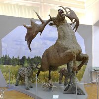 Большерогий олень :: Любовь Сахарова