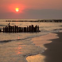 Балтийский рассвет :: Юрий. Шмаков