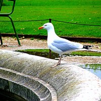 Париж. :: Владимир Драгунский Париж. :: Владимир Драгунский