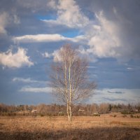 **** :: Елизавета .