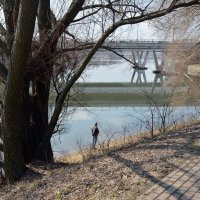 Борисовские пруды :: Oleg4618 Шутченко