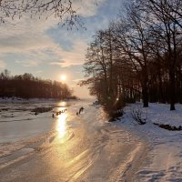 Золото февральского заката. :: Лия ☼