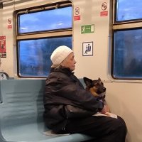 С другом в путь-дорогу! :: Ольга 