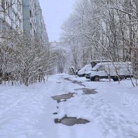 ***апрельская неожиданность*** :: Olga Oskolkova