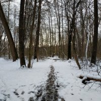 Апрель в Измайловском парке :: Андрей Лукьянов