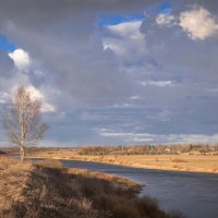 **** :: Елизавета .