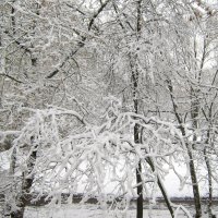 Зима в апреле :: Елена Семигина