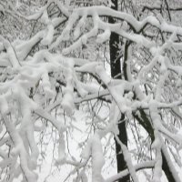 Зима в апреле :: Елена Семигина