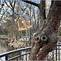 Прогулка по парку. :: Валерия Комова